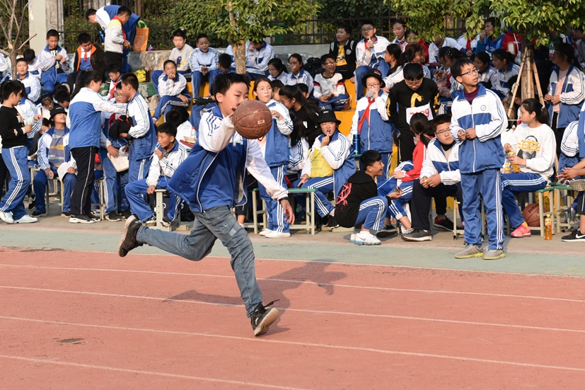 图片1