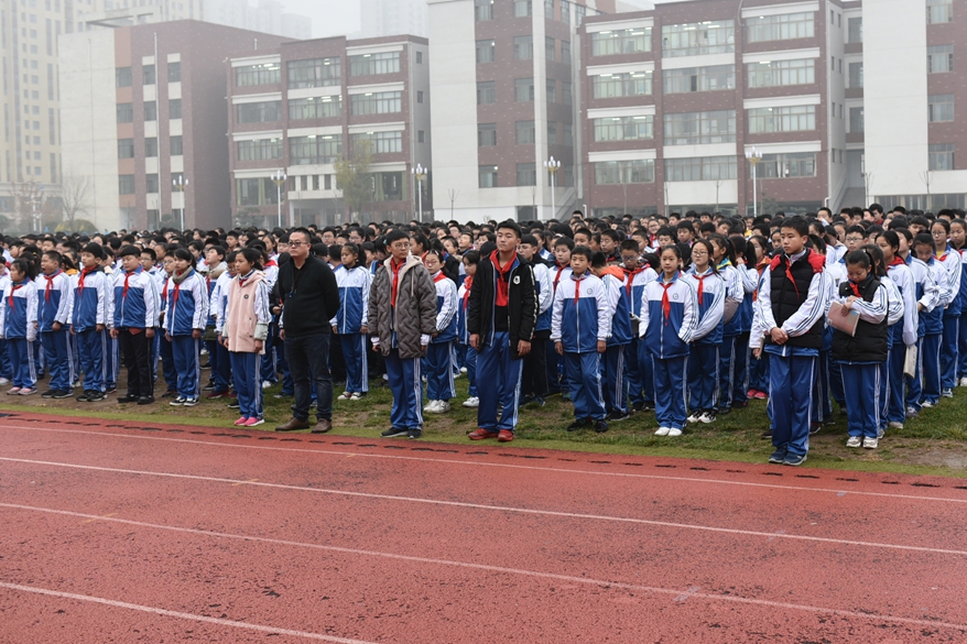 图片1
