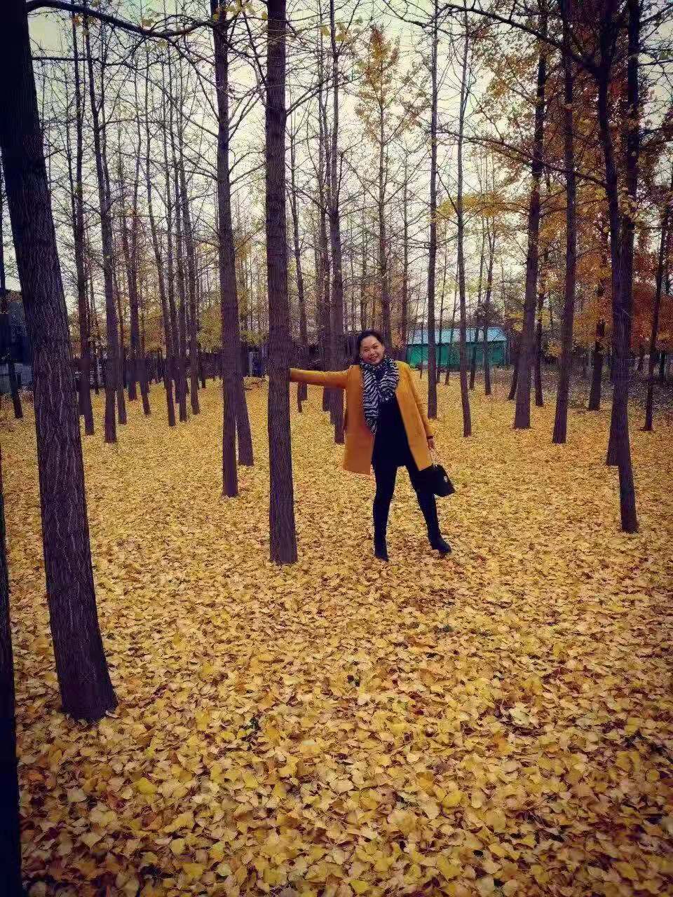 图片1