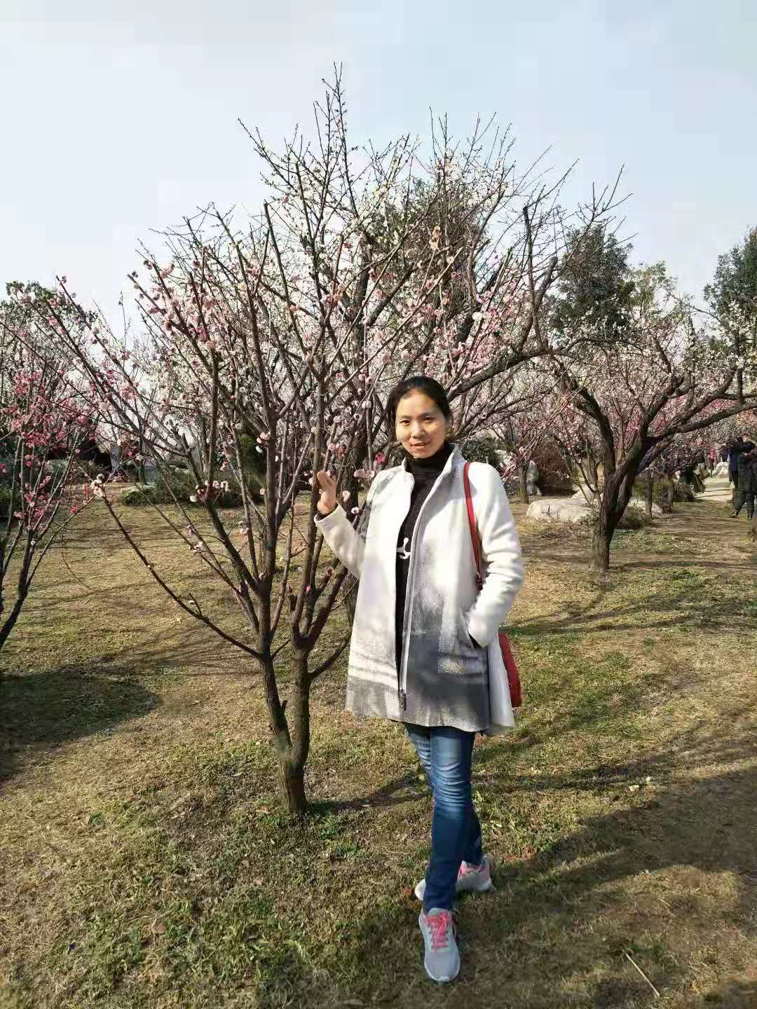 图片1