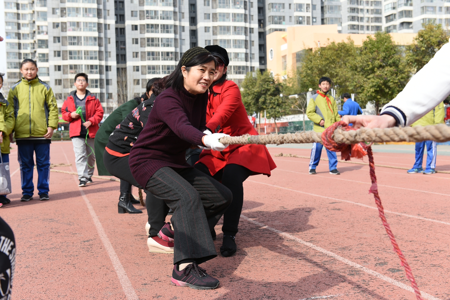图片1