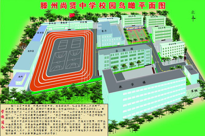 图片1