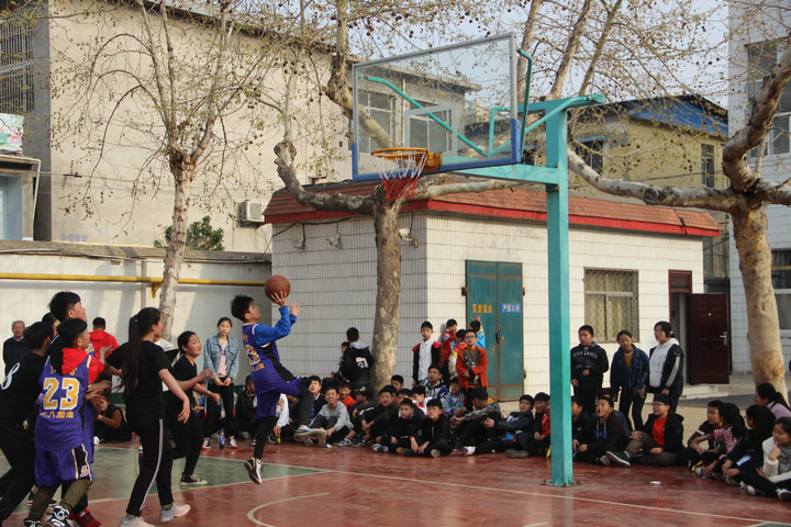 图片1