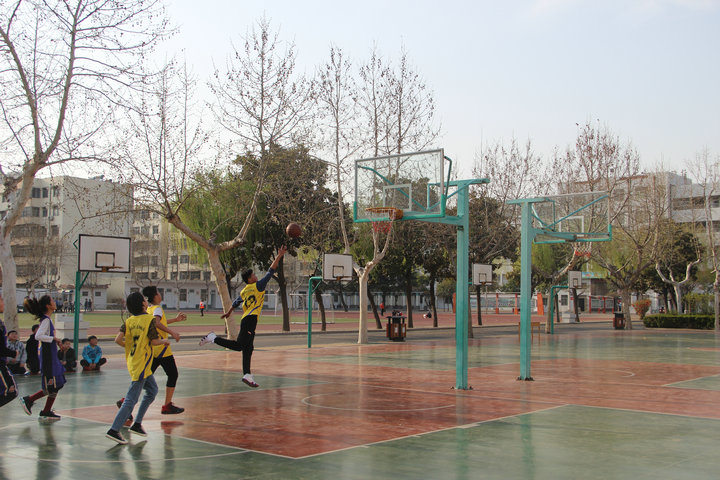 图片1