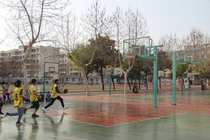 图片1