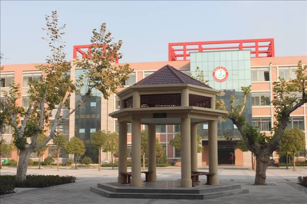 图片1