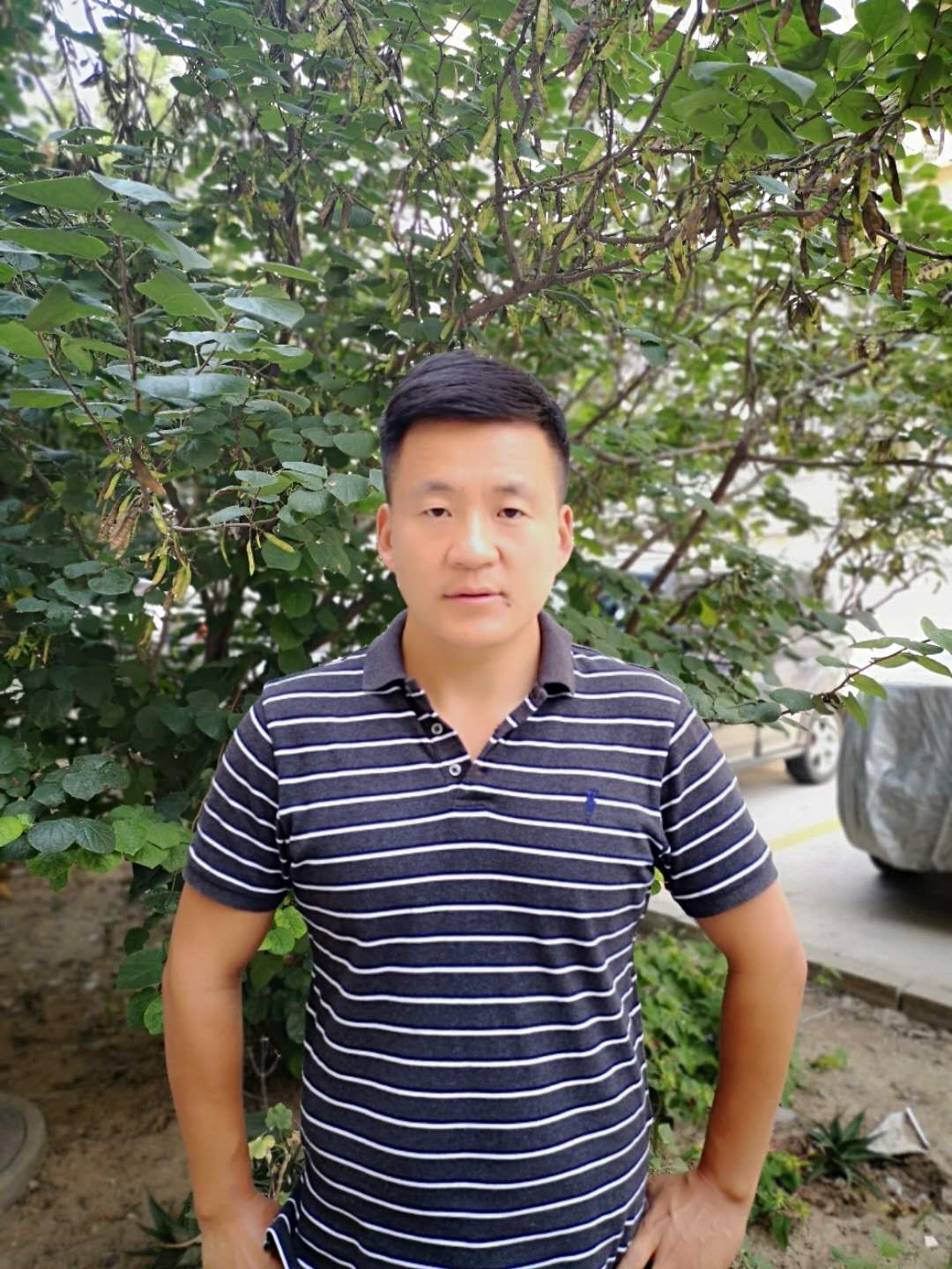 图片1
