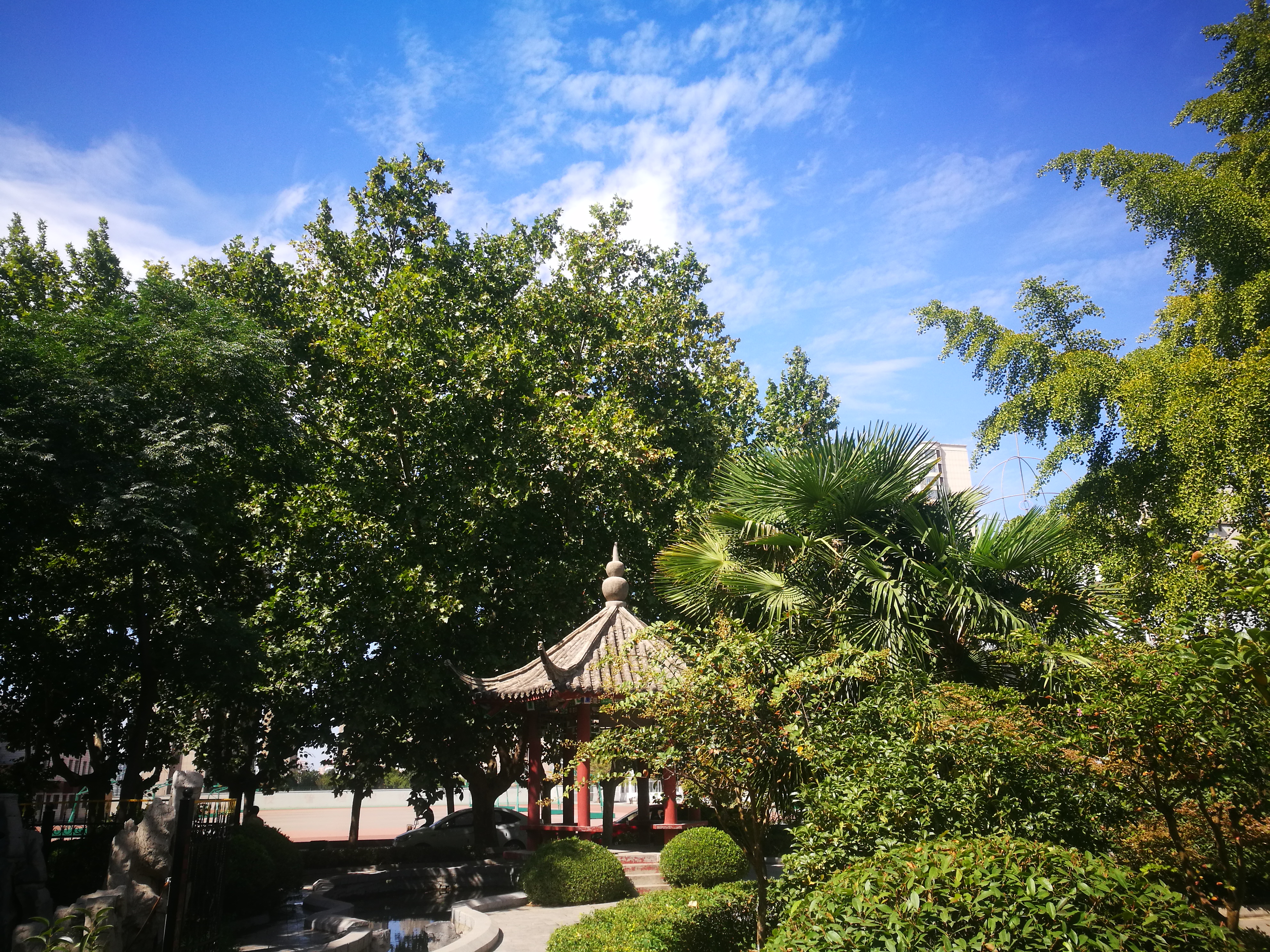 图片1