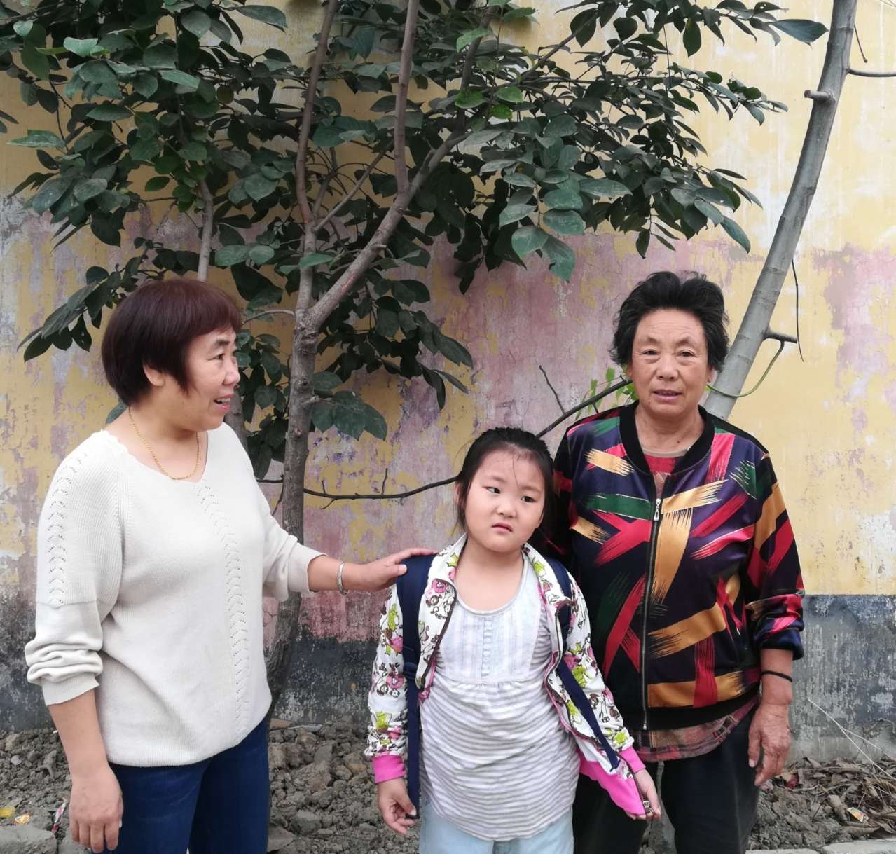 图片1