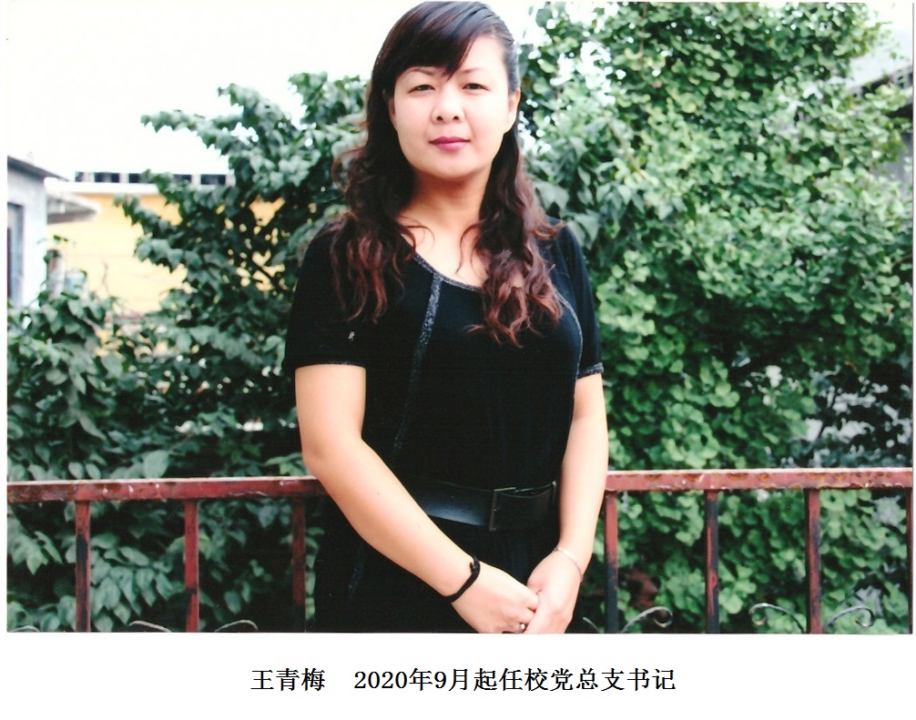 图片1