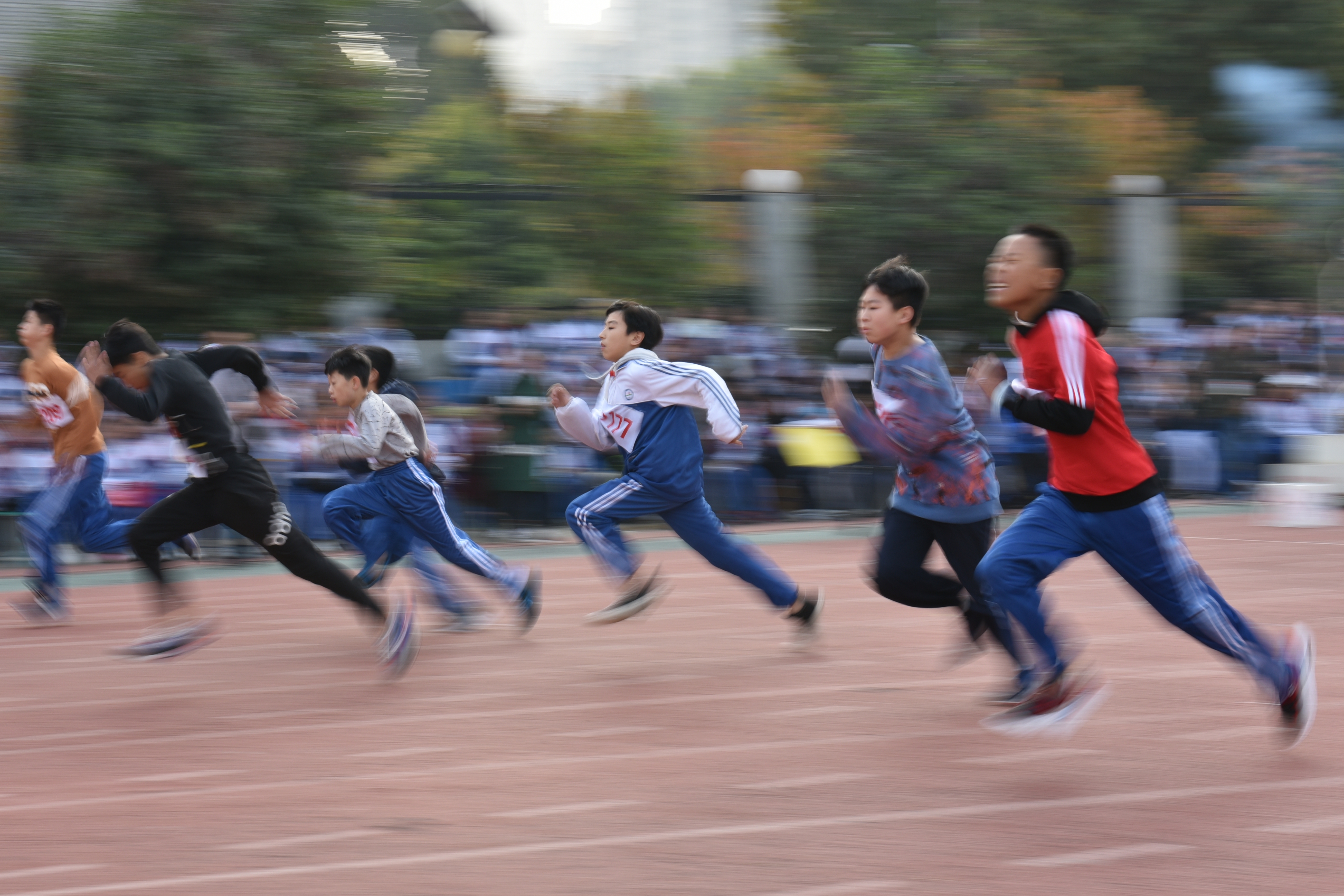 图片1