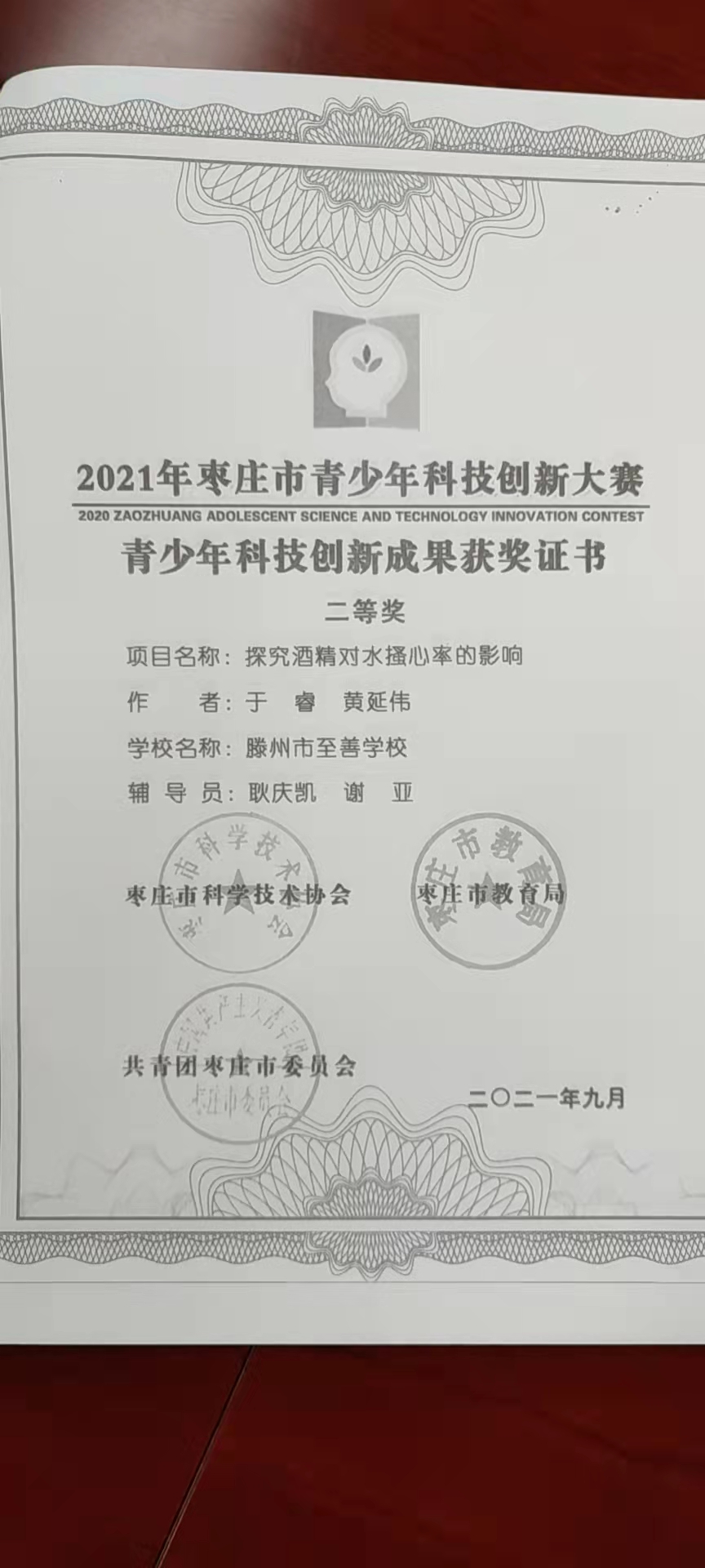 图片1