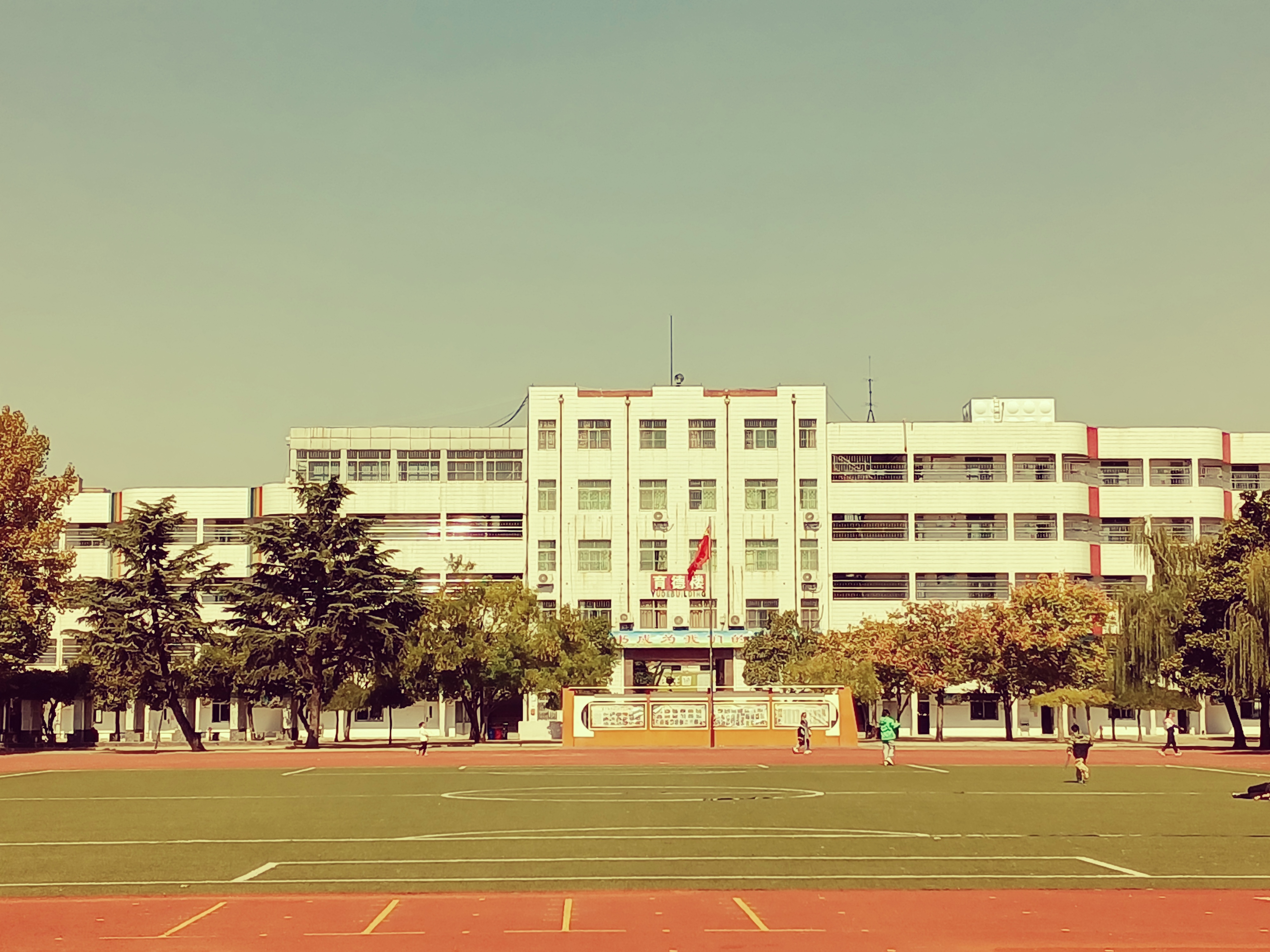 图片1